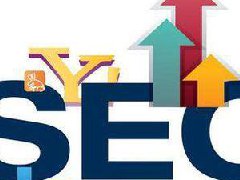 ⌫企业网站 SEO 优化策略：囍提升流量的关键路径